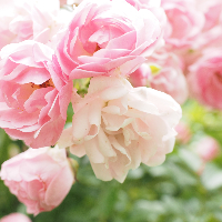 Anna Ingvalda Sletten