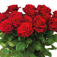 Torbjørn Abrahamsen