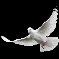 Christer Gunnar Kjellberg