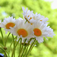 Rasmus Andreas Sørensen